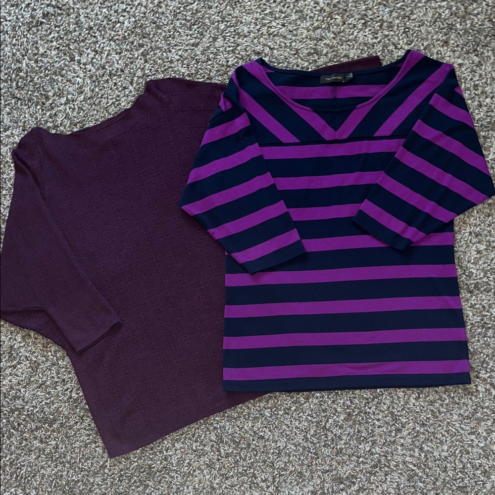 The Limited Set of 2 Sweater Tops, Merino Wool, Size Medium, Stripes Bat Wing